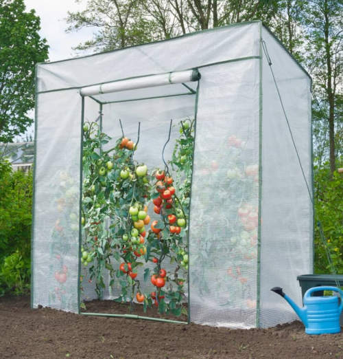 Vysoký zahradní fóliovník pro pěstování rajčat
